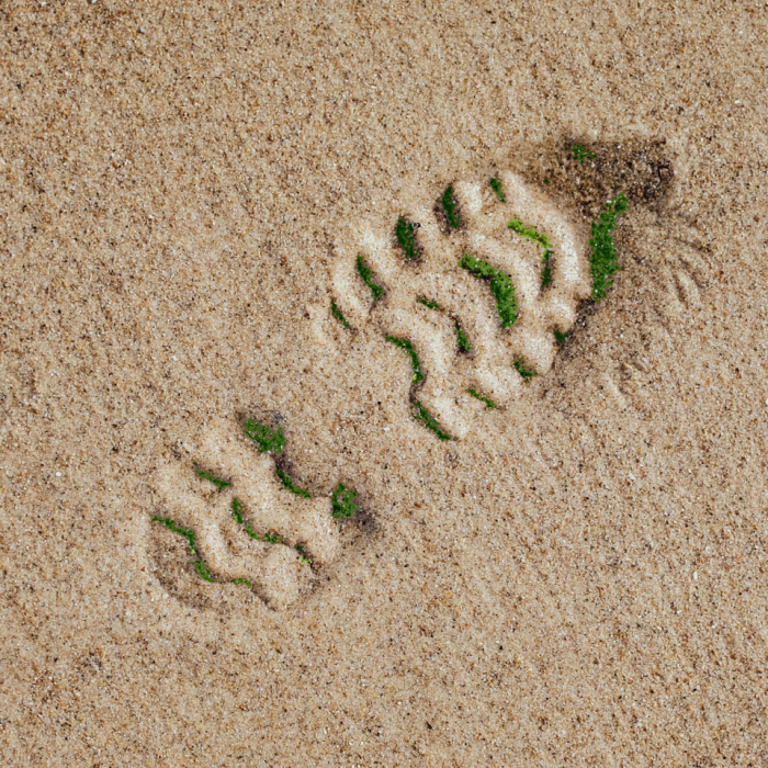 Substainability > The straight way | Convent Spedition GmbH